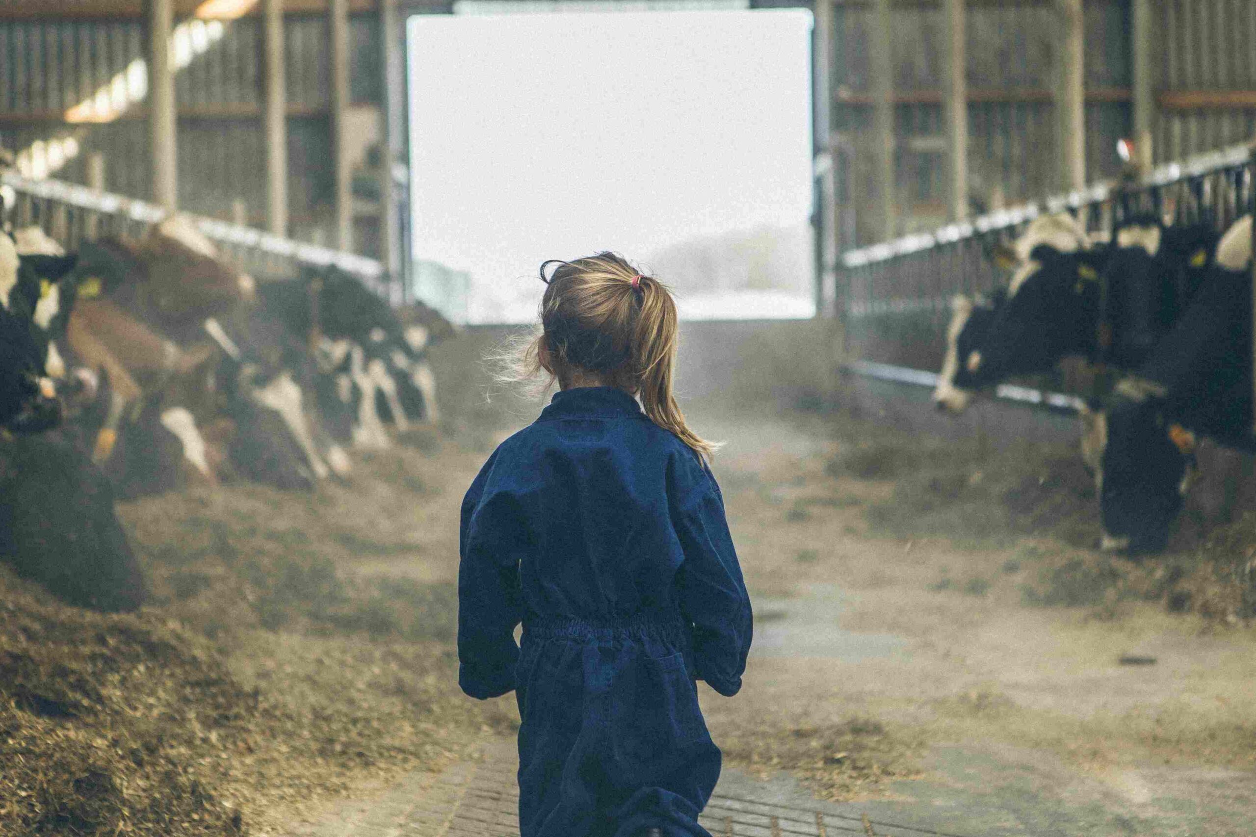 Doel afbeelding CirCOWlair
