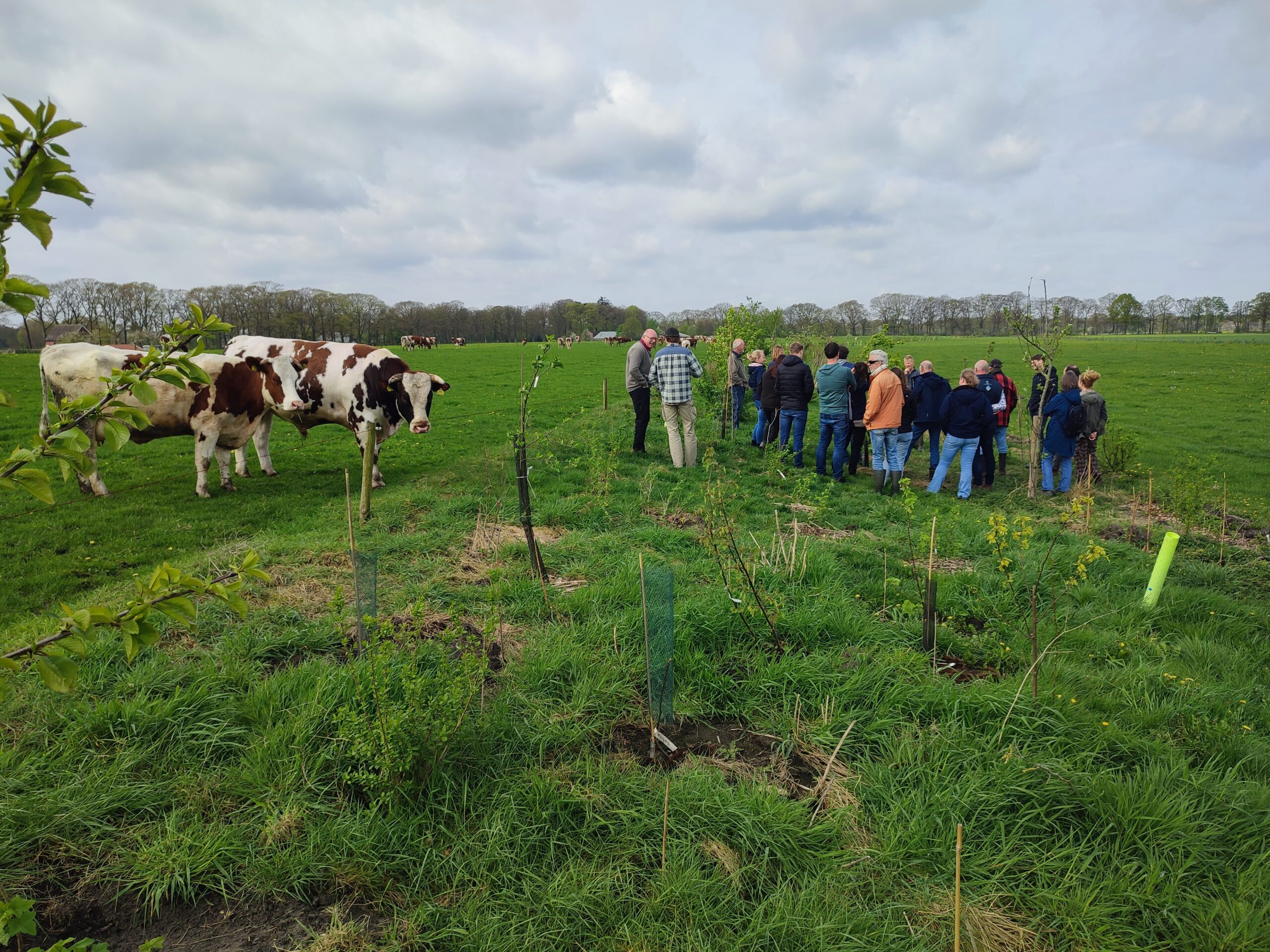 Doel afbeelding Boeren in Balans