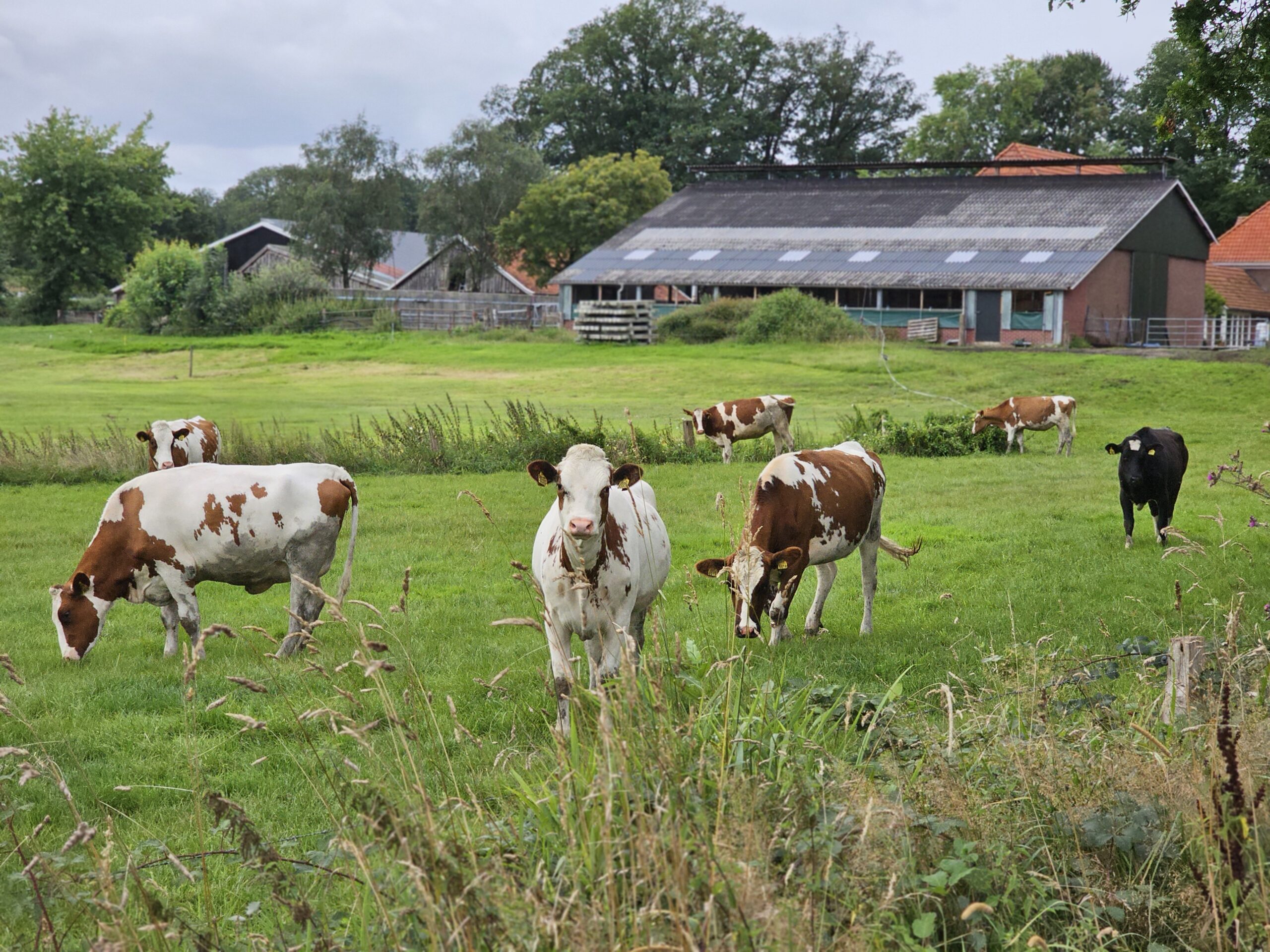 Doel afbeelding De Route naar Balans