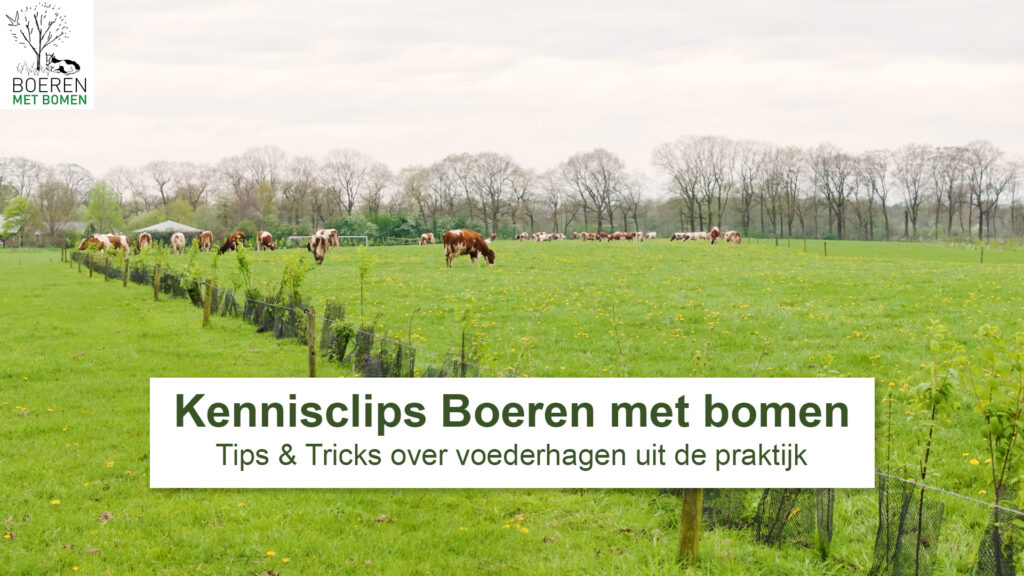 Kennisclipserie van Boeren met Bomen