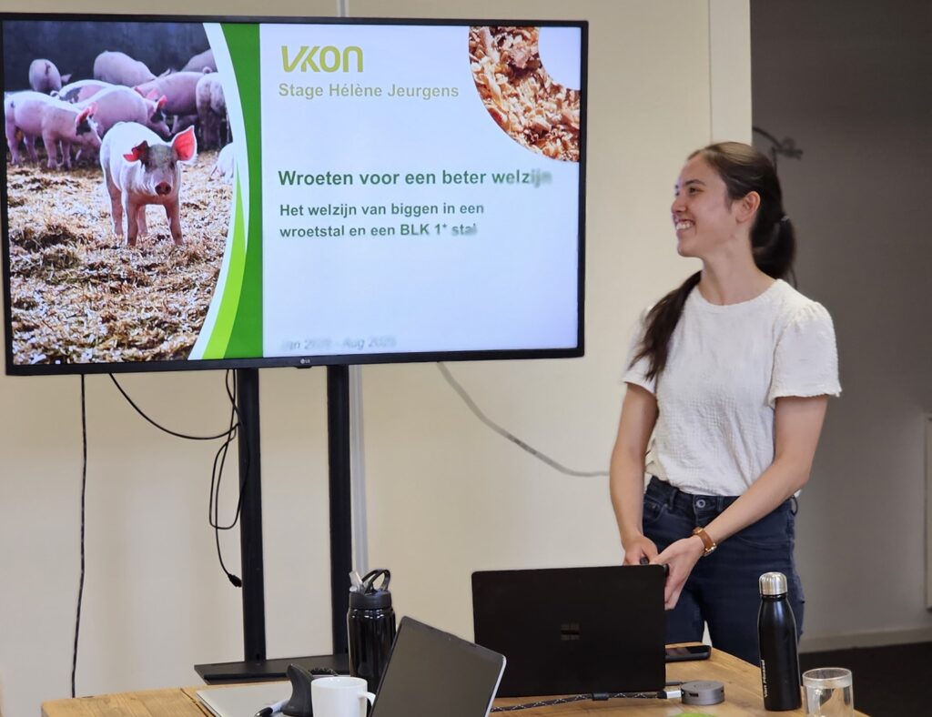 Wroetstallen voor biggen: een onderzoek naar comfort, gedrag en gezondheid