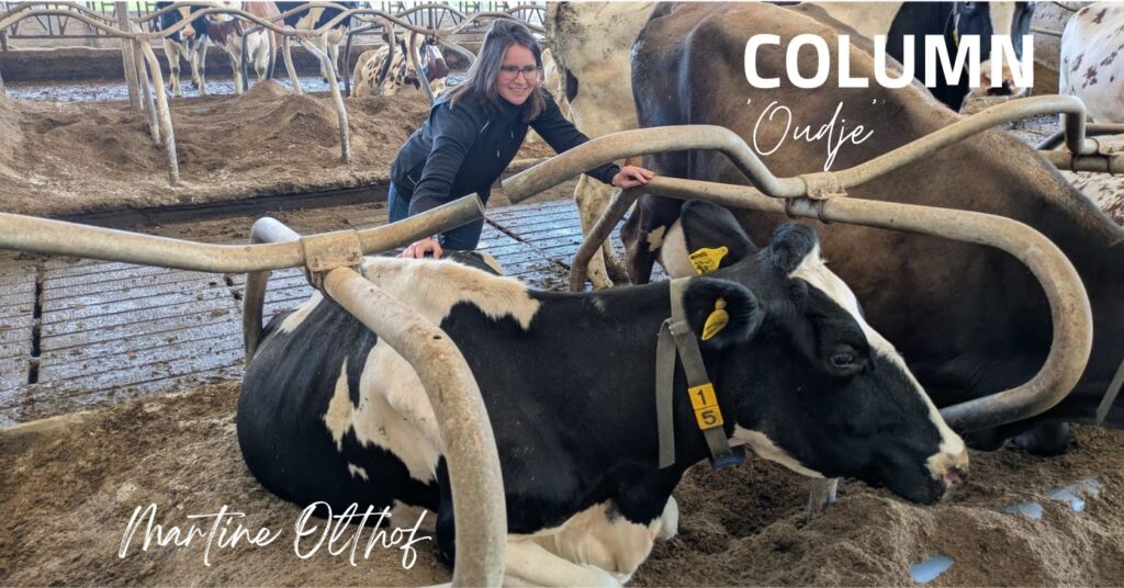 Column Martine: 'Oudjes'