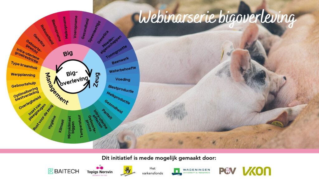 Webinarserie bigoverleving