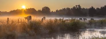 Groene Metropool Twente