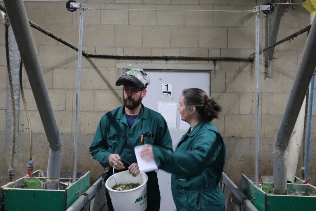 Gezonde varkens met lange staarten: een hele uitdaging! Deel 6