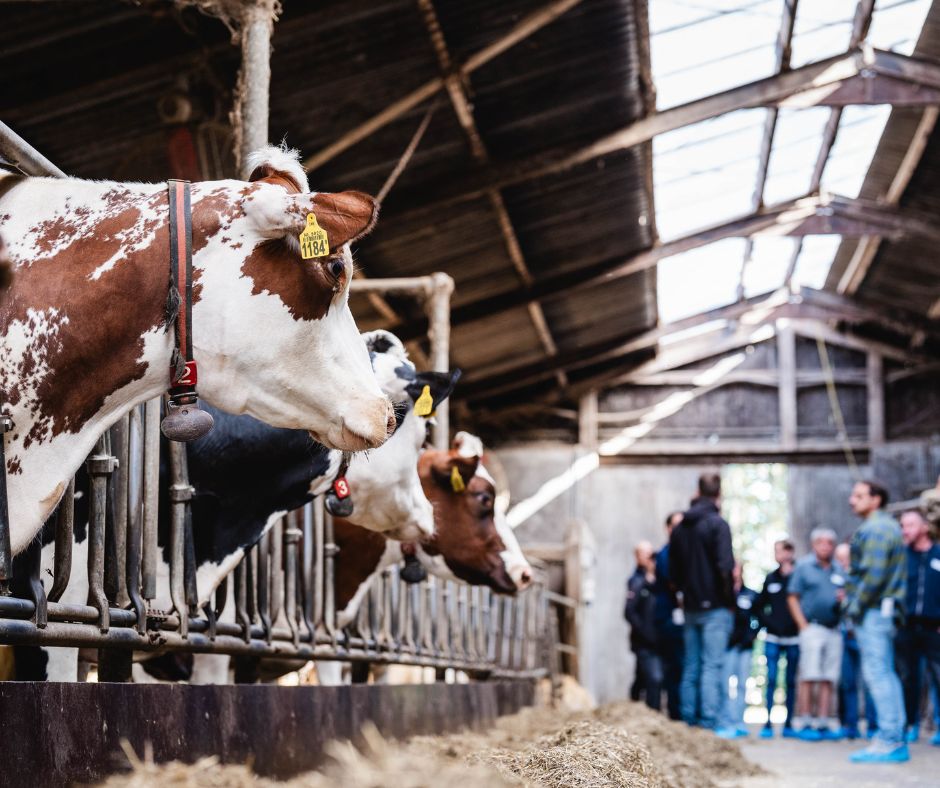 Doel afbeelding Praktijknetwerk duurzaam melkvee
