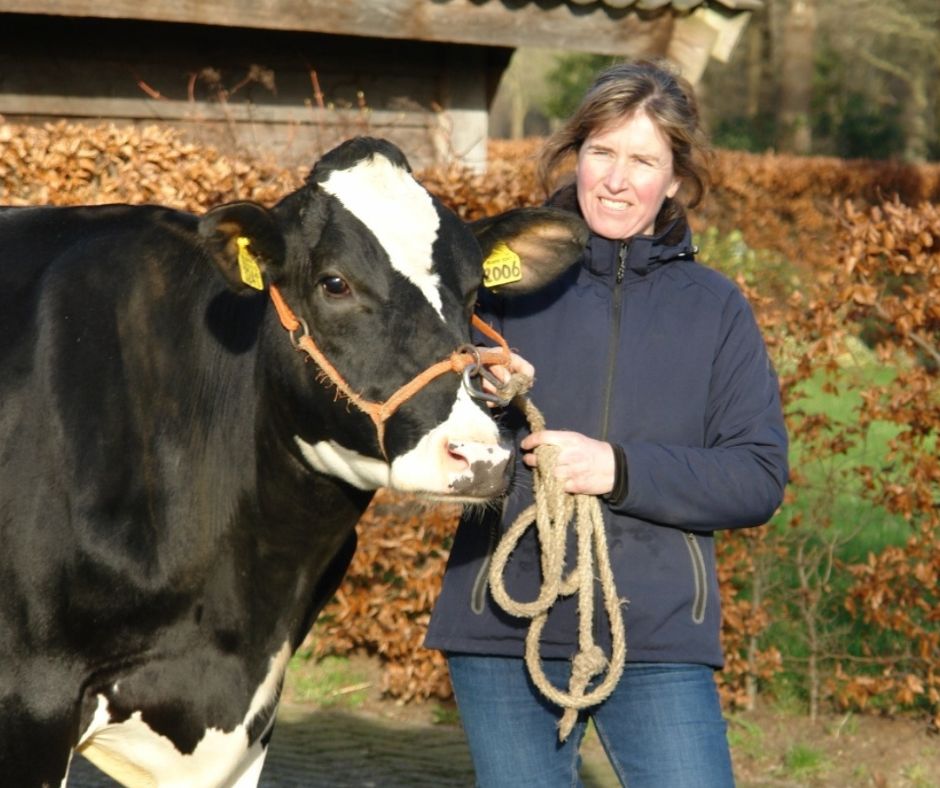 Melkveebedrijf Kooiker