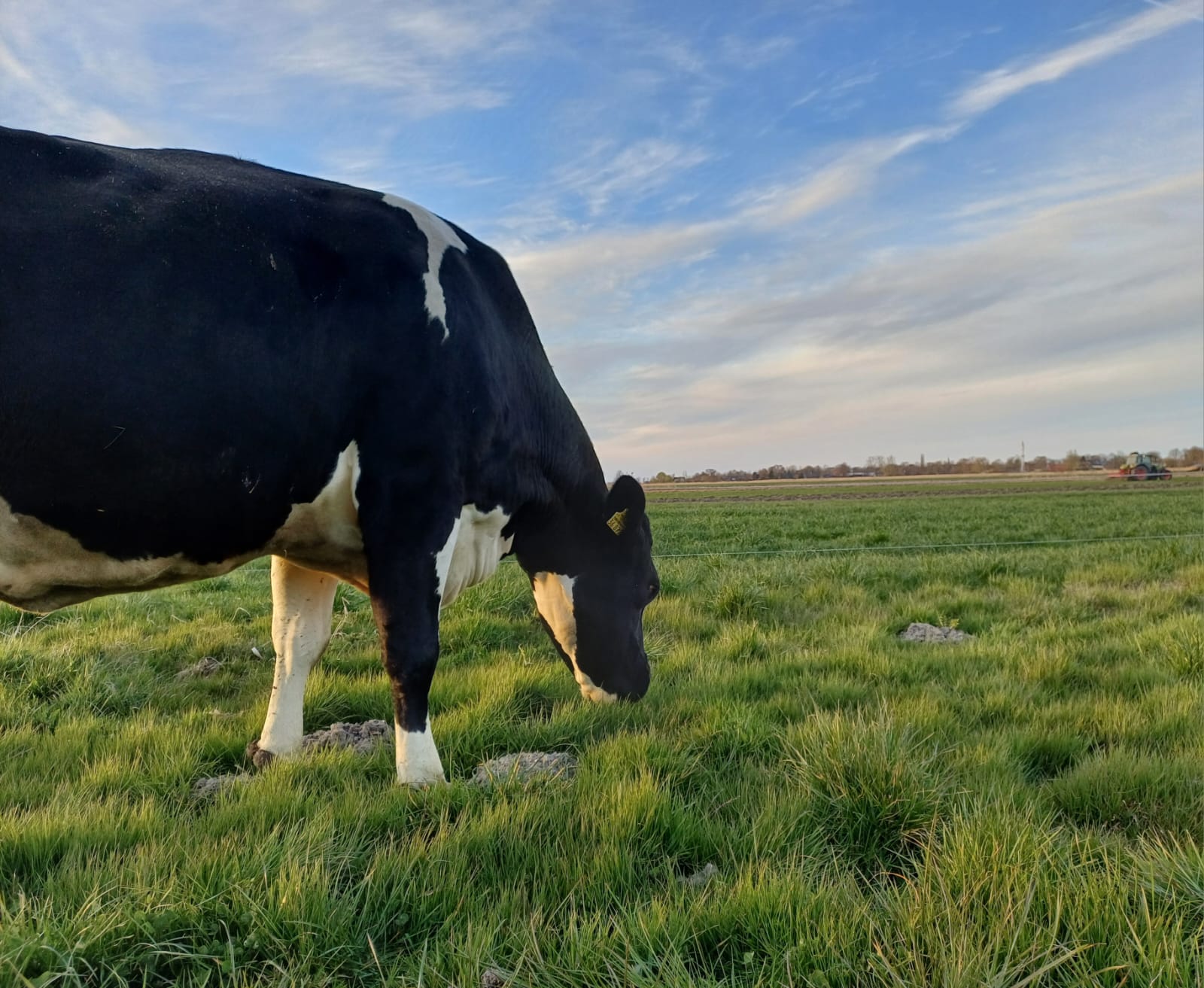 Doel afbeelding Levensduur loont
