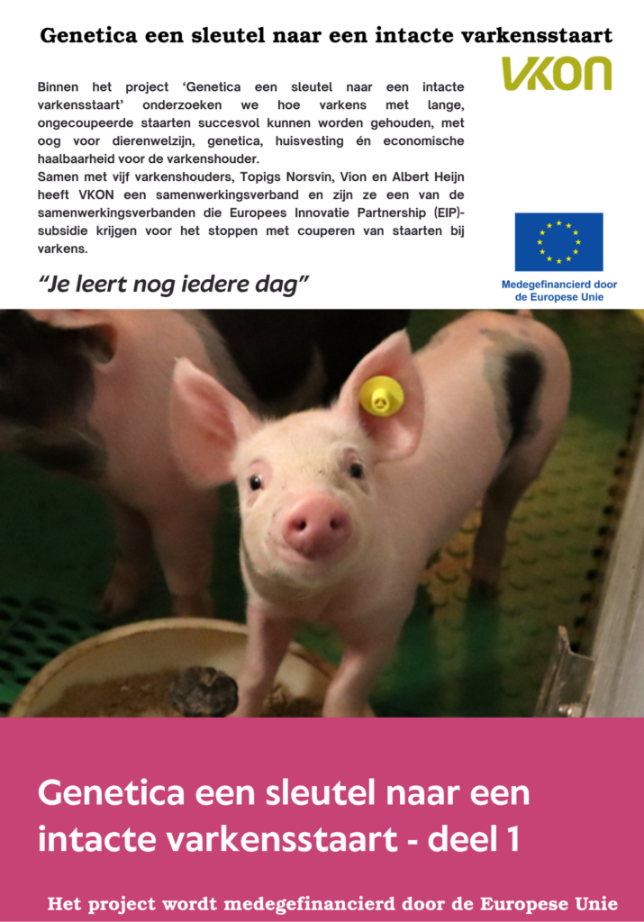 ARTIKEL Genetica, een sleutel naar een intacte varkensstaart