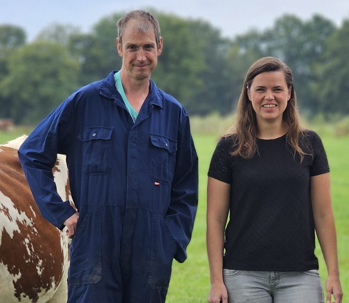 De Route naar Balans