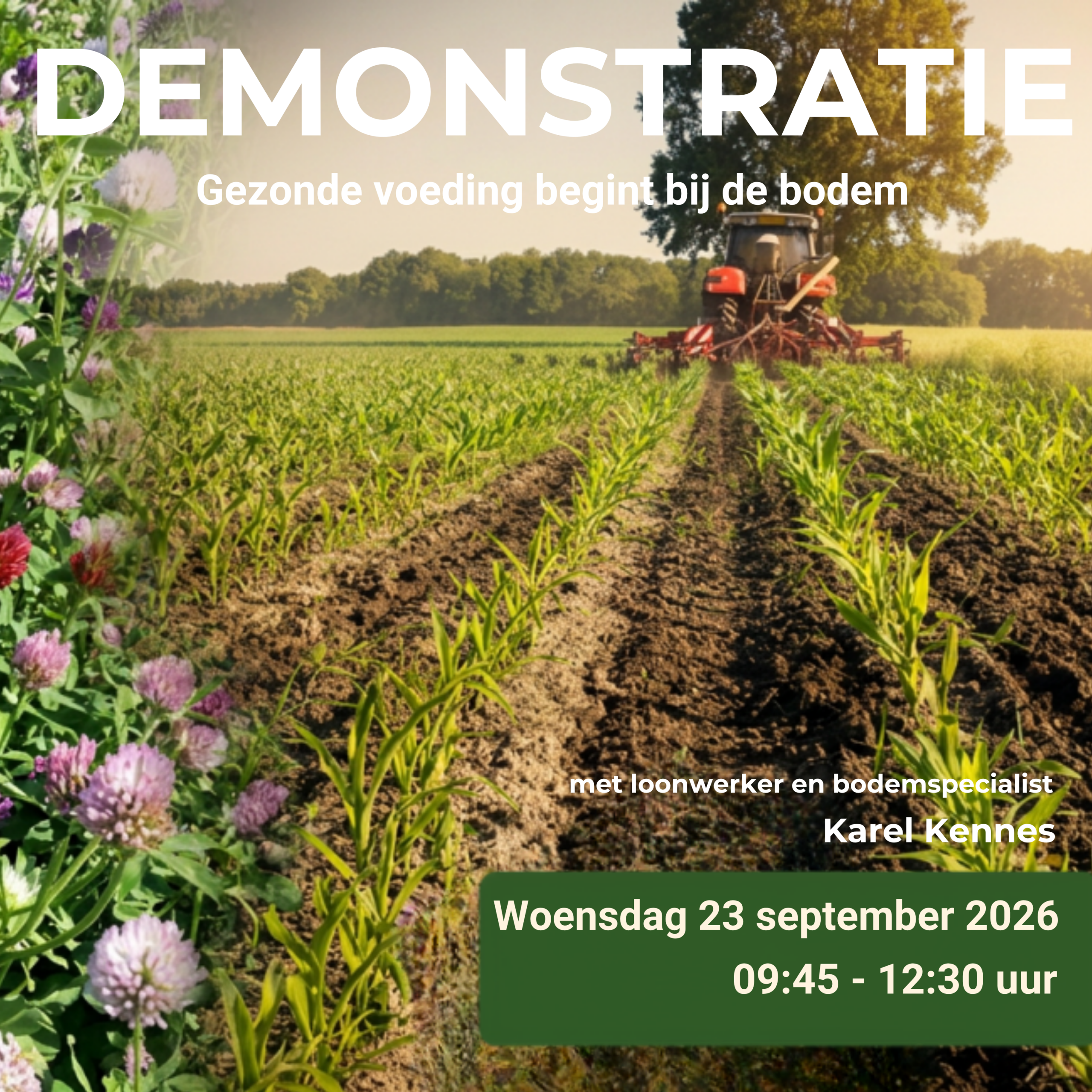 De route naar Balans intro