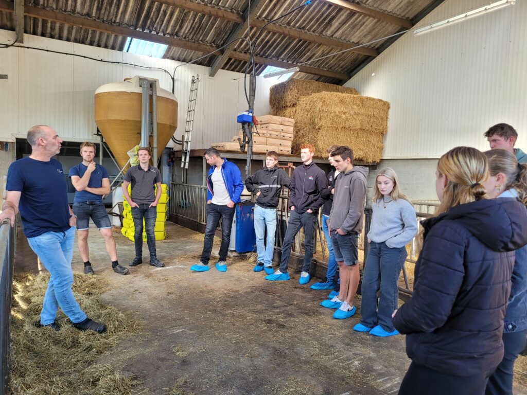 ARTIKEL | Jongvee opfok cruciaal in levensduurverlenging en rendement