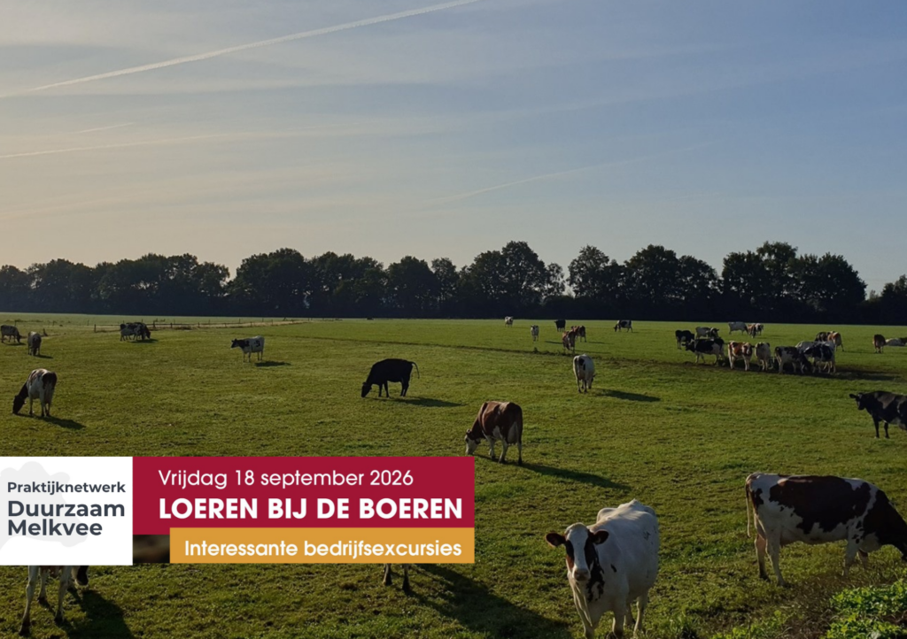 Inspiratiebijeenkomsten levensduur 18 september 2026 | Praktijknetwerk Duurzaam Melkvee