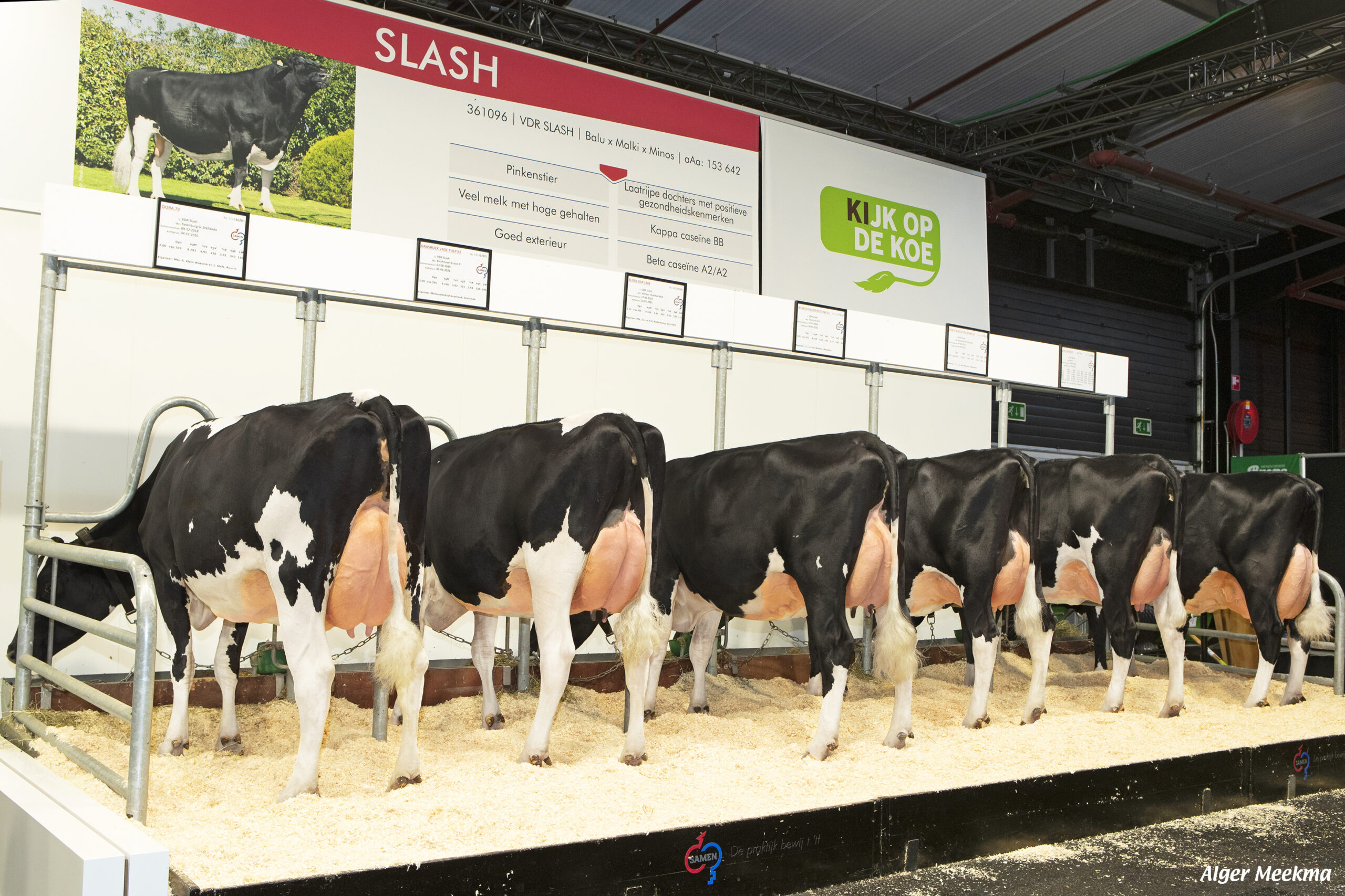 07088-Dochtergroep Slash Hardenberg 2021